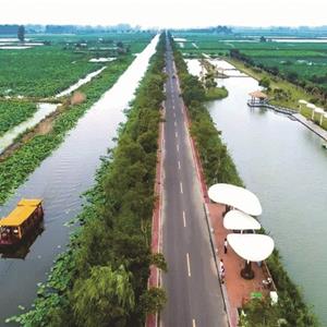 金湖县荷花荡旅游公路及景观绿化建设项目